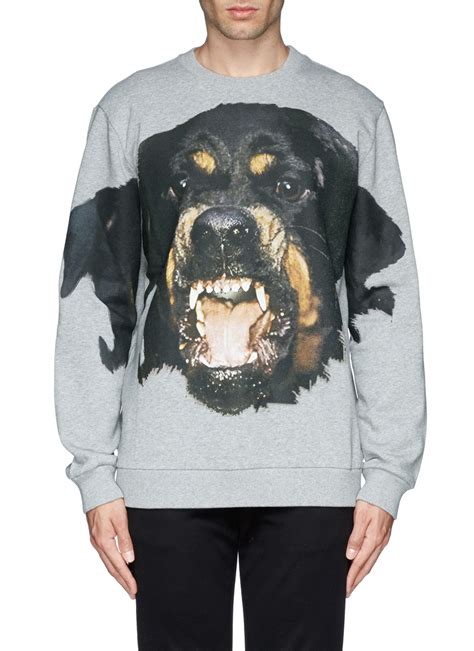 givenchy rottweiler print sweatshirt.